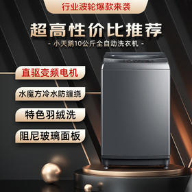 小天鹅 TB100VT818WDCLY 10公斤波轮洗衣机全自动 直驱变频 水魔方护衣防缠绕