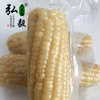 【弘毅六不用生态农场】六不用 白玉米8根/份 商品缩略图2