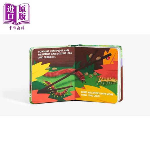 【中商原版】An Abrams Block Book Bugblock 昆虫字母立体书 英文原版进口图书 儿童绘本 动物知识科普图画书 折叠翻翻页 商品图2