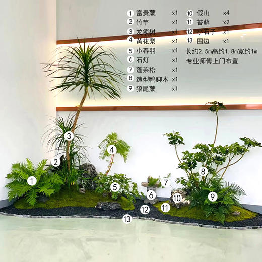 绿植植物造景布置-1份龙须树鸭脚木造型前台公司大堂logo绿化软装高端定制上门布置 商品图4