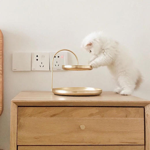 加拿大Umbra POISE 珀思首饰架 商品图3