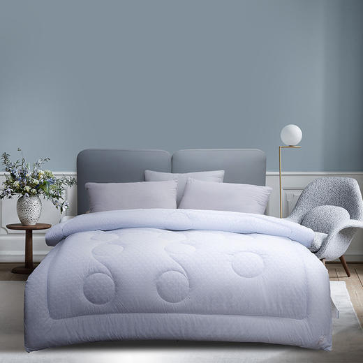 水星家纺 悠然负离子四季被1500g 内含50%负离子纤维 商品图0