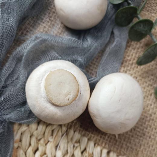 清甜脆嫩，鲜嫩浓香的山东曹县新鲜芦笋 /自然生长，鲜香滑嫩，肉质紧实 不泡药水的慢口蘑 商品图3