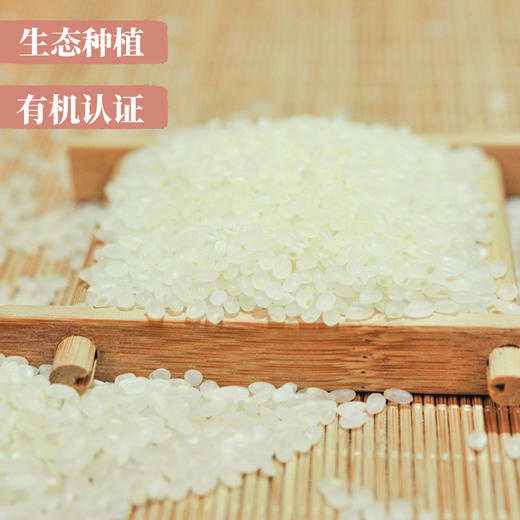 爱的谷粒有机圆粒米500克一级大米吉林松原有机水稻 商品图2