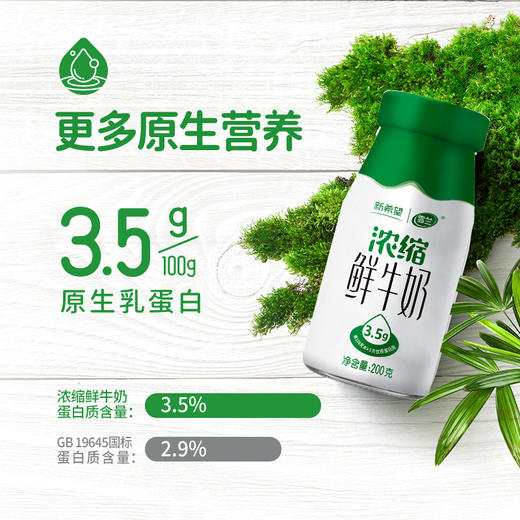 【雪兰订奶到家】浓缩鲜奶 | 玻璃瓶 200g 配送上门 商品图2