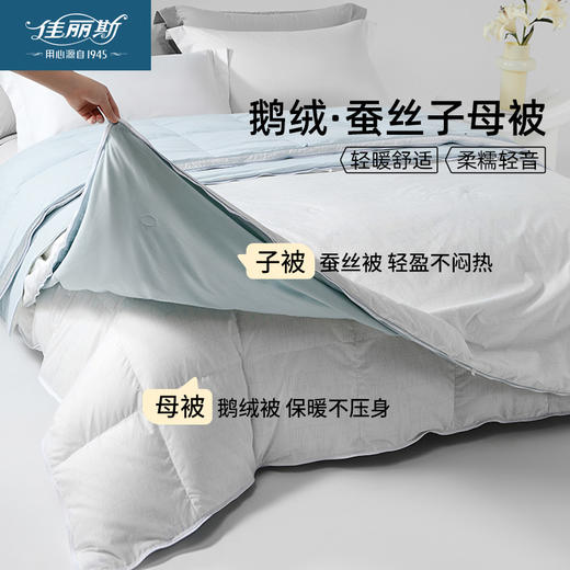 佳丽斯蚕丝羽绒二合一子母被95白鹅绒被子冬被蚕丝被拉链款 商品图0