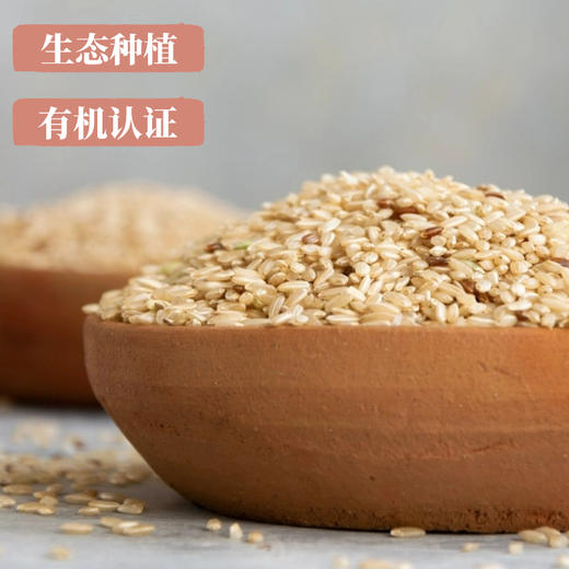 [静思书轩2025秋季新米升级  爱的谷粒有机糙米500g 营养健康 老少皆宜 粗粮高膳食纤维 商品图2