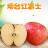 山东烟台红富士苹果 脆甜新鲜水果礼盒新鲜水果整箱 甄选礼盒5斤装80-85mm净重4.5斤 商品缩略图5