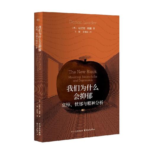 我们为什么会抑郁 哀悼 忧郁与精神分析 达里安·利德 著 心理学 商品图0