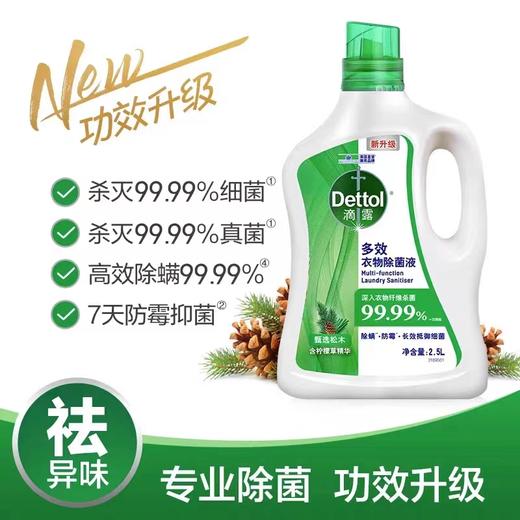 滴露衣物除菌液松木2.5L+1L 商品图2