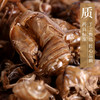 蝉蜕/蝉衣 康美中药饮片 独立小包装 商品缩略图3