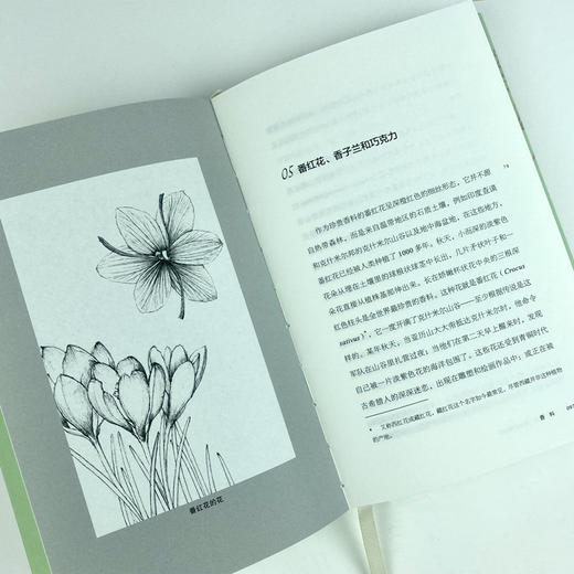 现货 芳香世界：香味的博物志 （环保花香印刷，自带桂花香）埃莉斯·珀尔斯汀 著 方寸新知客  调香师 香水史 博物志  香奈儿5号 商品图5