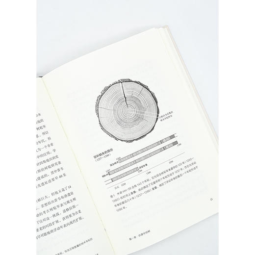 年轮里的世界史 (自然文库) 商品图5