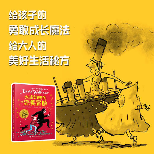 大盗奶奶的完美冒险 大卫·威廉姆斯 著  儿童文学 商品图1