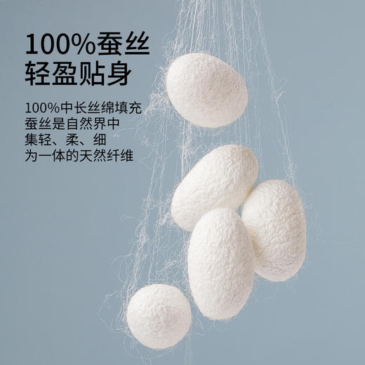 佳丽斯被子蚕丝被春秋被空调被夏季四季通用结婚被芯子母被二合一 商品图1