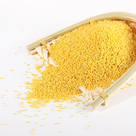 【舜绿】山西富硒垣曲好小米袋装2500g 商品图4