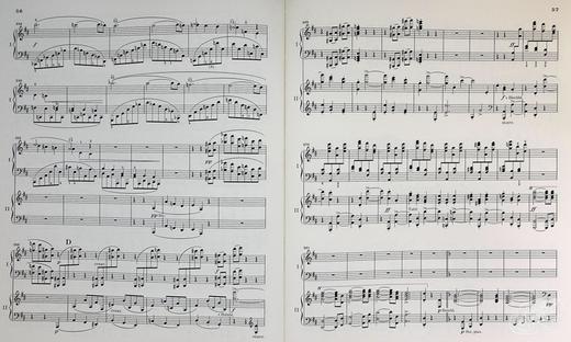 【中商原版】亨乐原版 勃拉姆斯 降B大调第二协奏曲op83 双钢琴 带指法 Brahms Piano Concerto no.2 in B flat major op.83 HN1231 进口艺术 商品图4