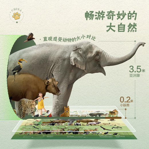 《动物地图》 商品图2