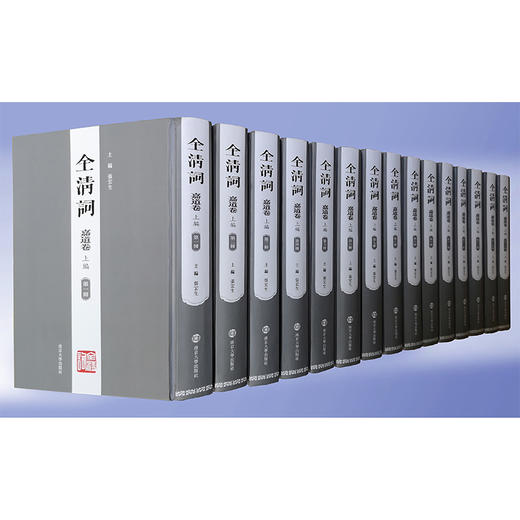 全清词·嘉道卷（上编·第一—十五册） 商品图0