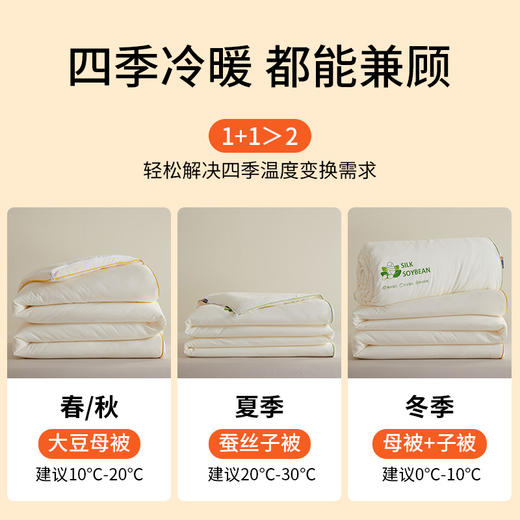 佳丽斯二合一蚕丝大豆子母被加厚保暖被芯四季通用 商品图1