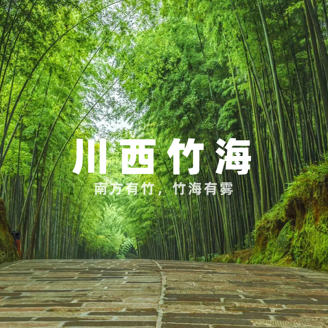 【发起活动 | 10人成团 | 平乐古镇+川西竹海一日往返直通车】拜古镇，品美食，游竹海，体验玻璃栈道，相遇慢时光