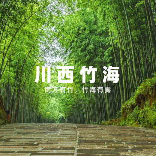 【发起活动 | 10人成团 | 平乐古镇+川西竹海一日往返直通车】拜古镇，品美食，游竹海，体验玻璃栈道，相遇慢时光 商品图0