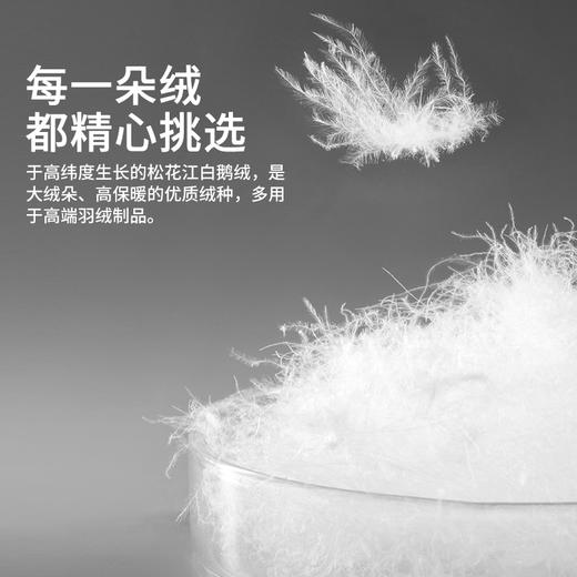 佳丽斯蚕丝羽绒二合一子母被95白鹅绒被子冬被蚕丝被拉链款 商品图1