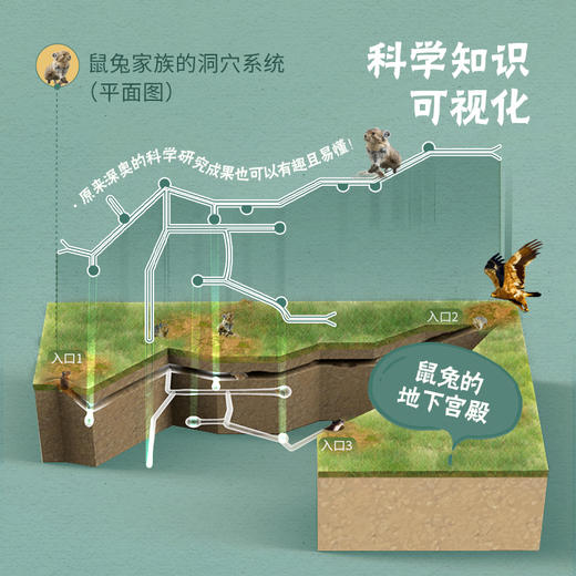 《动物地图》 商品图4