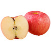 山东烟台红富士苹果 脆甜新鲜水果礼盒新鲜水果整箱 甄选礼盒5斤装80-85mm净重4.5斤 商品缩略图7