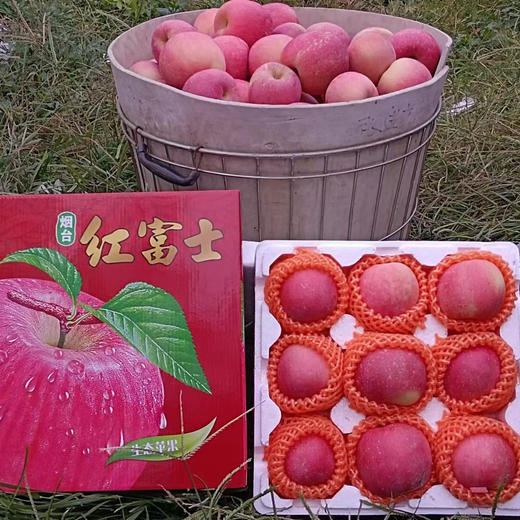 烟台红富士苹果脆甜多汁4.5斤/5斤包邮 商品图2