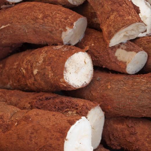 【广西外运】广西农垦木薯淀粉 芋圆粉圆原料 200g*3包 商品图6