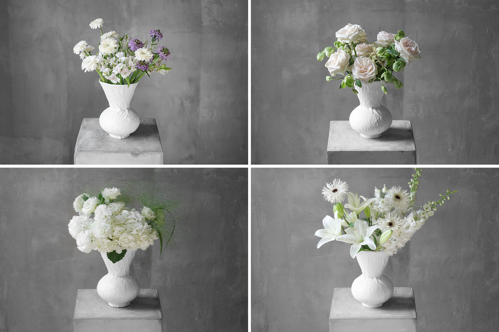 永恒之花  Amarantine