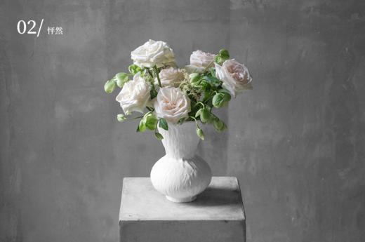 永恒之花  Amarantine 商品图2