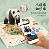 《动物地图》 商品缩略图5