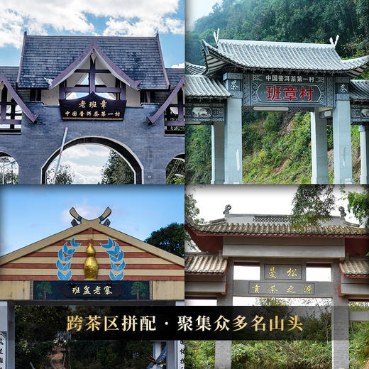 【主公令】2016年云南四大茶区茗山拼配 古寨春独创秘方 耗时三年不断优化 普洱茶生茶357g/饼 商品图7