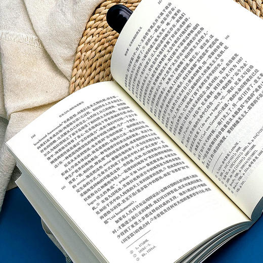 存在之问 颠转海德格尔 虚无主义批判译丛 斯坦利·罗森 哲学 商品图5