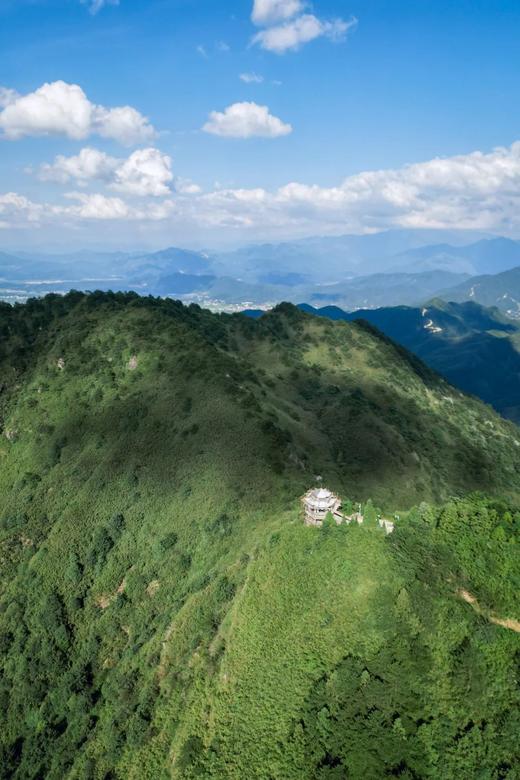 【11月25日|银杏葛仙山徒步游】银杏金黄正当时，秋收季满载而归 商品图1