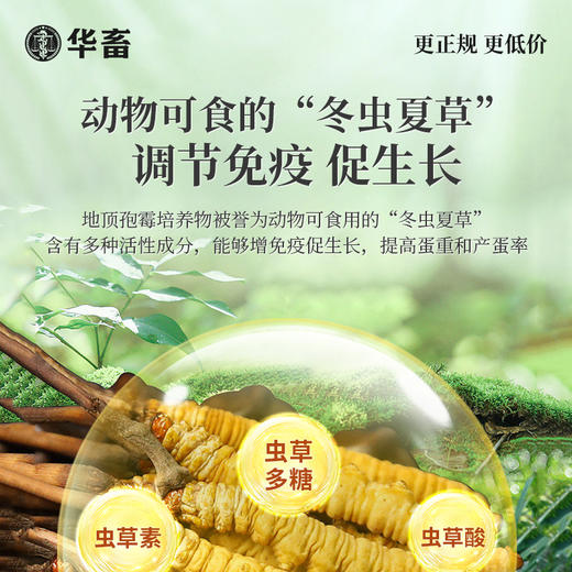 华畜钙磷微量全能宝有机的 好吸收增加蛋壳厚拉大骨架1kg华畜 商品图4