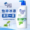 海飞丝去屑洗发露750g（怡神冰凉型） 商品缩略图0