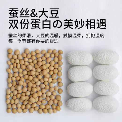 佳丽斯二合一蚕丝大豆子母被加厚保暖被芯四季通用 商品图2