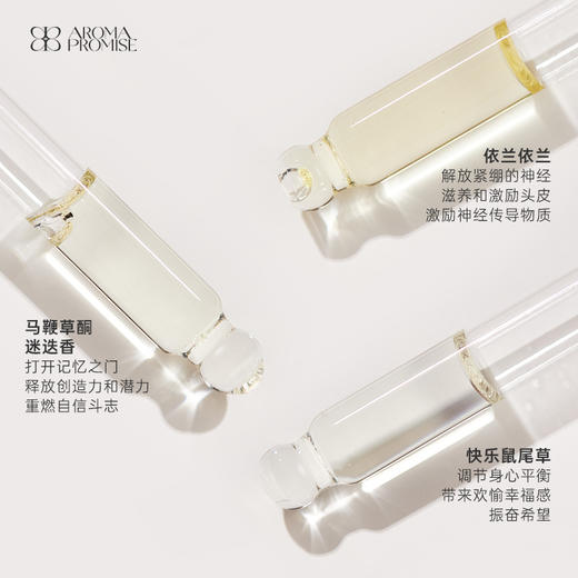 Aroma Promise头发保养套组 商品图3