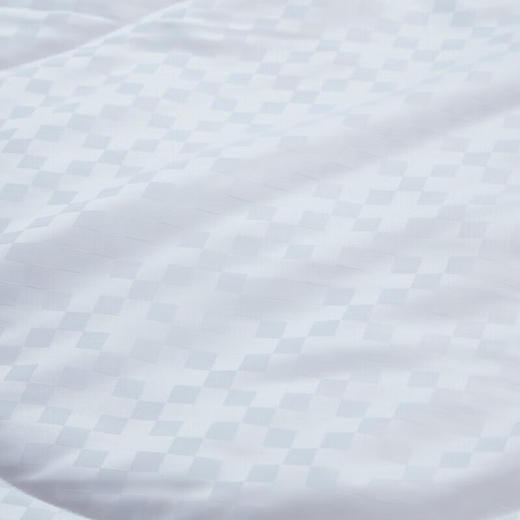 富安娜（FUANNA）家纺 丽妍-蚕丝夏被 203*229cm 商品图3