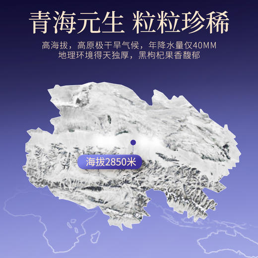 【冬季滋补】【杞里香青海黑枸杞450g礼盒】天赐良品共450g克 中秋国庆年货新年佳节送礼甄选礼盒 商品图8
