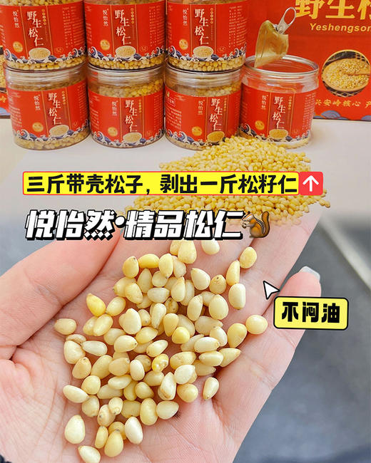 悦怡然野生松仁 200克/罐 商品图3