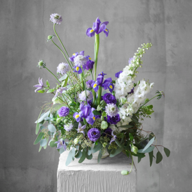 桌花系列｜神秘暮光 Mysterious Twilight