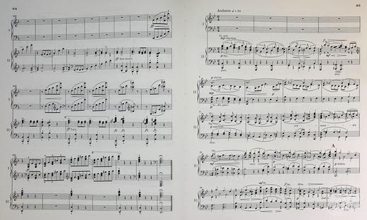 【中商原版】亨乐原版 勃拉姆斯 降B大调第二协奏曲op83 双钢琴 带指法 Brahms Piano Concerto no.2 in B flat major op.83 HN1231 进口艺术 商品图7