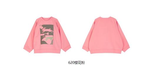 jnby  23年冬款 套头卫衣  1NA413310 商品图4