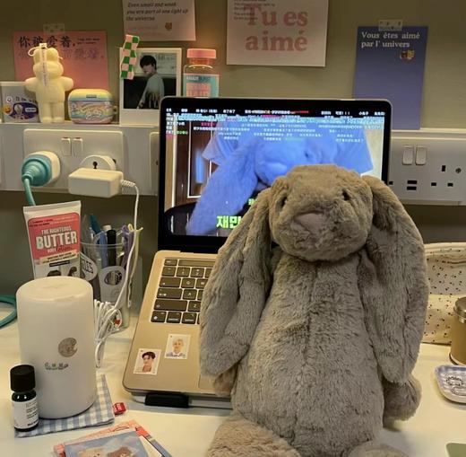 纯元！软fufu 好可爱！ jellycat 36厘米邦尼兔！ 商品图11