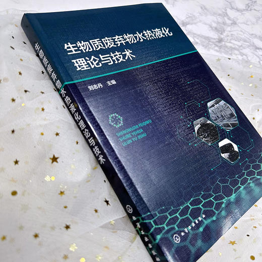生物质废弃物水热液化理论与技术 商品图3