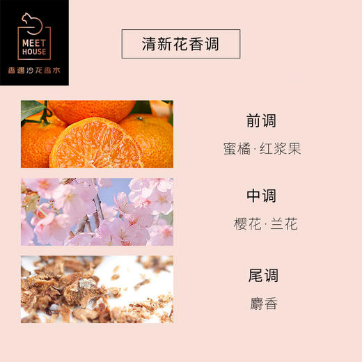 樱花的回忆 商品图1